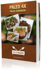 paleo-4x